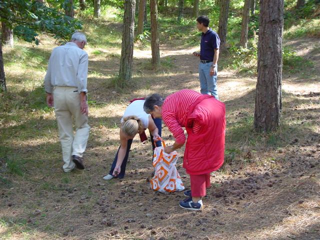 dsc00608 (small).jpg